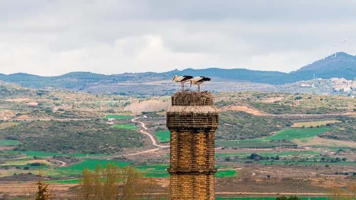 Roadtrip Navarra: Middeleeuwse stad Olite