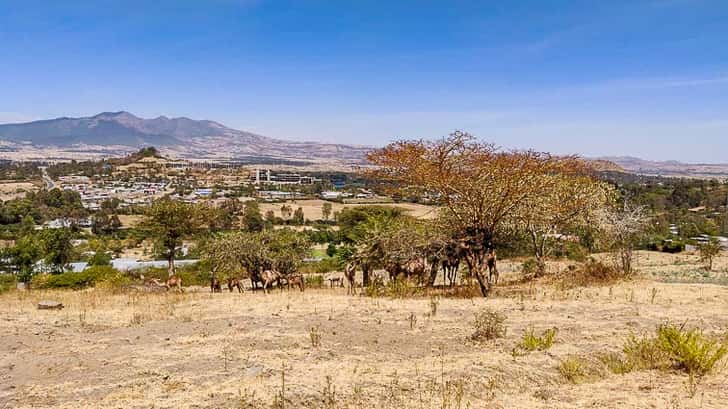 Vulkaanmeren van Debre Zeit, Ethiopië