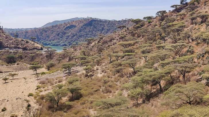 Vulkaanmeren van Debre Zeit, Ethiopië