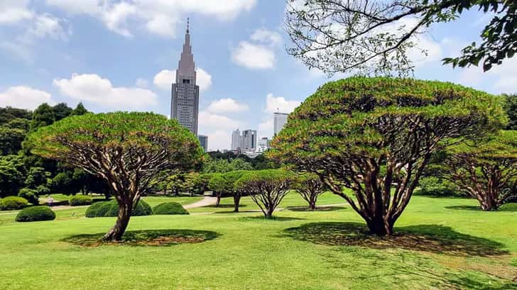 Tokyo bezienswaardigheden