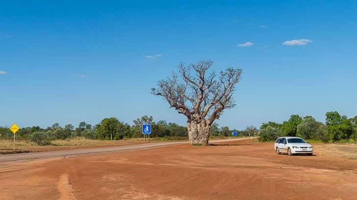 Roadtrip door de Kimberley Australië