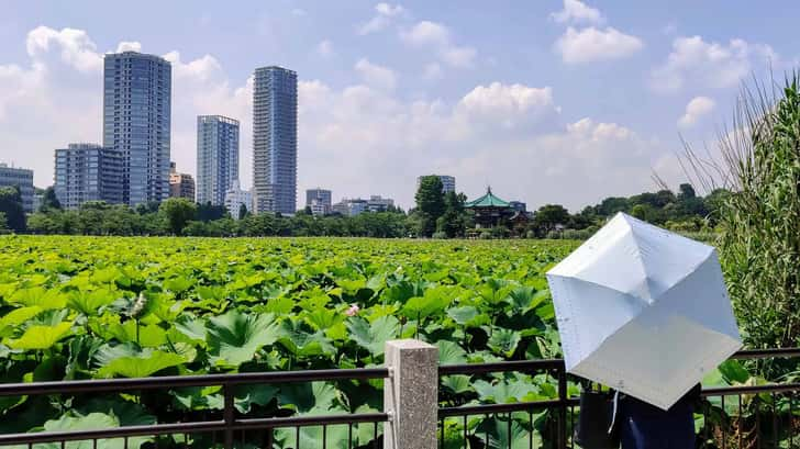 Tokyo bezienswaardigheden