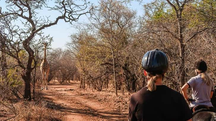 Zandspruit Estate Zuid-Afrika paardrijden