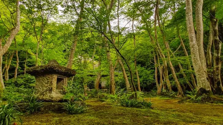 Giou-ji tempel