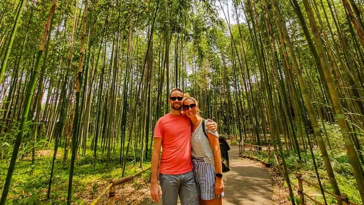 Bamboo Grove Kyoto