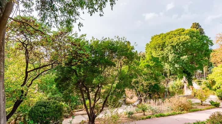 Jardin des Plants Montpellier