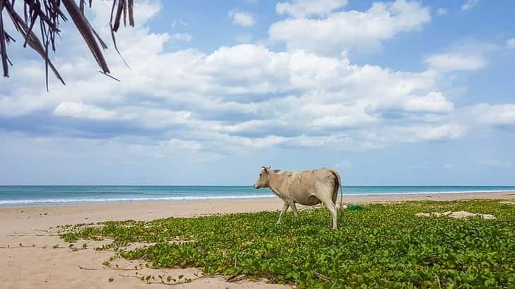 Trincomalee Sri Lanka