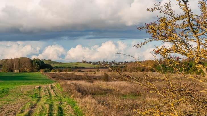 Natuur Midden-Jutland 