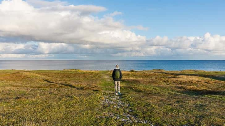 Natuur Midden-Jutland 