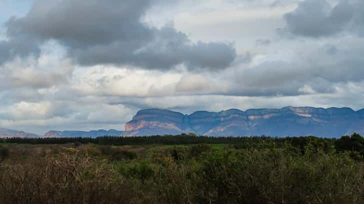 Reizen naar Zuid-Afrika