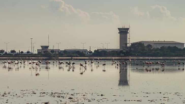 Zoutmeer Larnaca flamingo's 