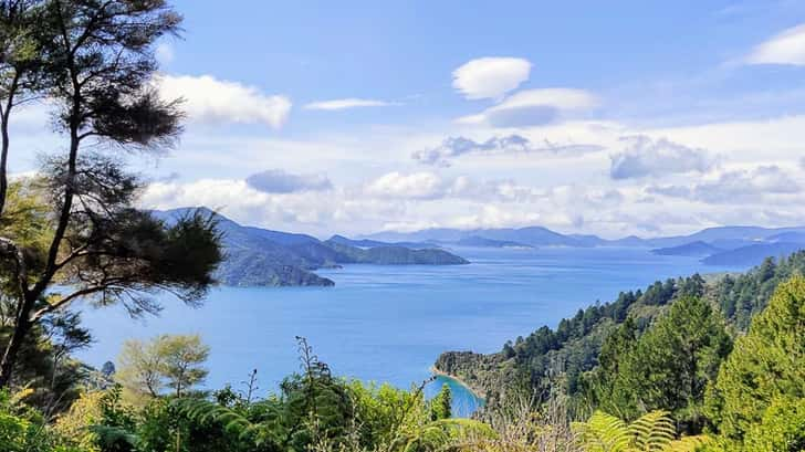 Queen Charlotte Track 