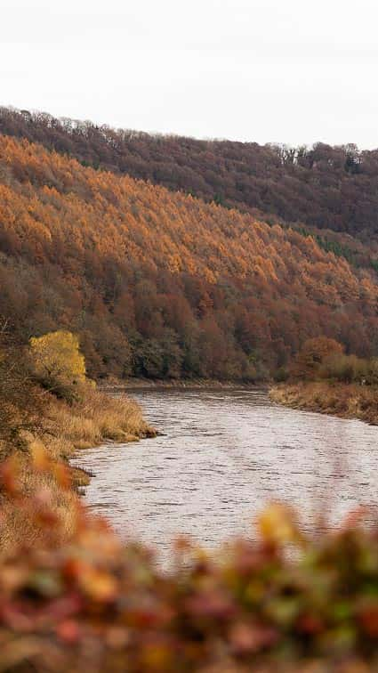 River Wye