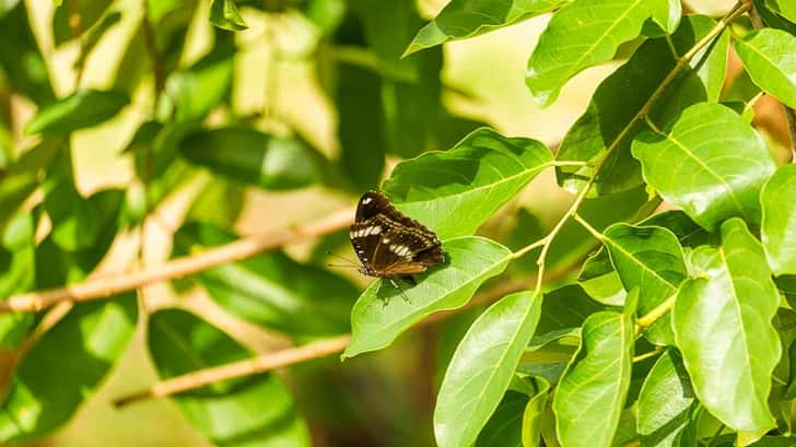 Mooiste eilanden van Thailand - Koh Lanta