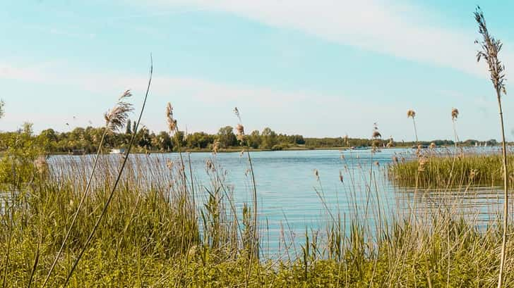 Zuidlaardermeer