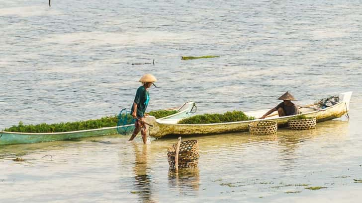 Zeewiertelers Nusa Lembongan