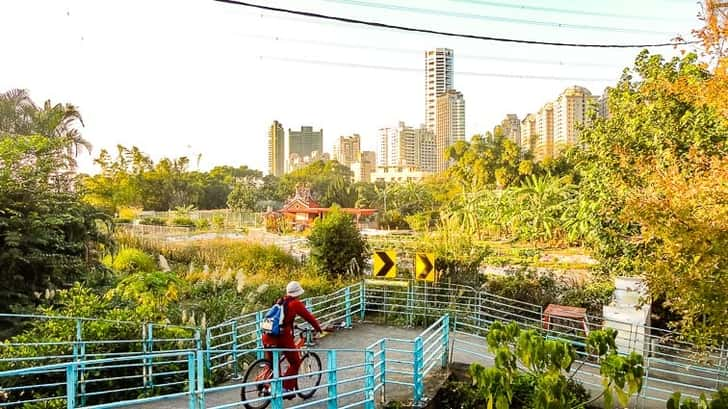 Mangroves van Danshui