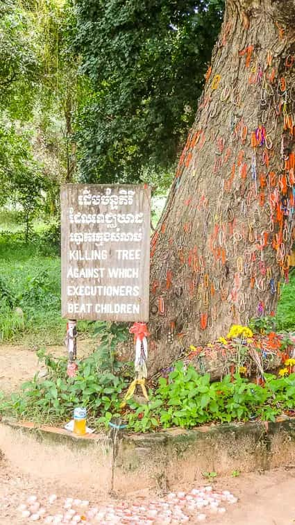 Killing Tree The Killing Fields