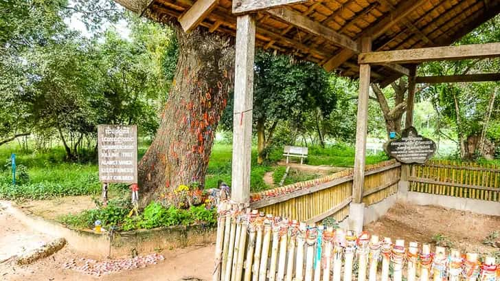 The Killing Tree The Killing Fields