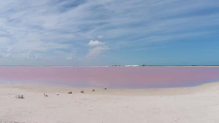 Las Coloradas