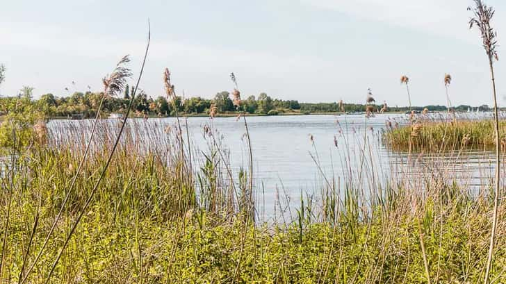 Zuidlaardermeer