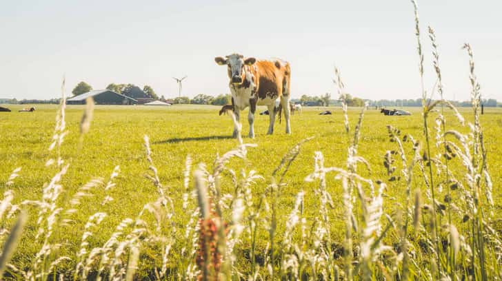 Wat te doen in de provincie Groningen