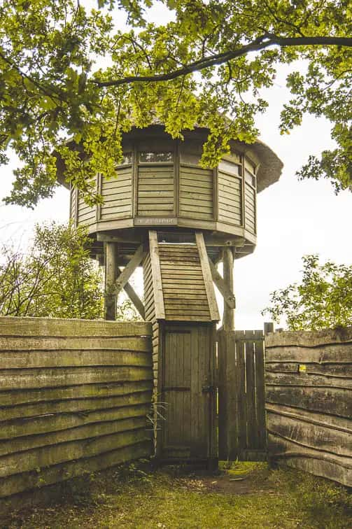 Natuurgebied de Deelen Friesland