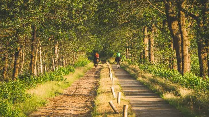 Paardrijden in Drents-Friese Wold, zuidoost Friesland