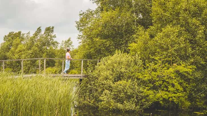 Natuurgebied de Deelen