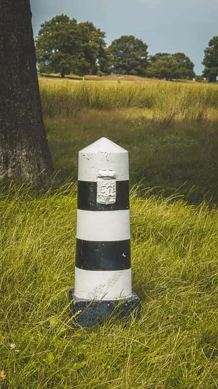 Grenspaaltjes Drents Friese Wold