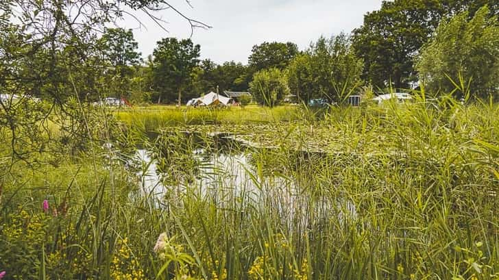 Natuurkampeerterrein de Meenthe - Nivon