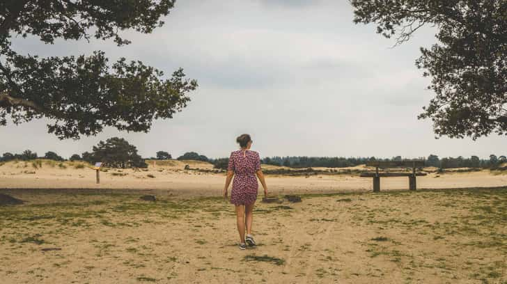 De kale duinen het Drents Friese Wold