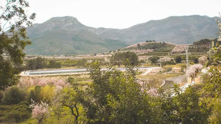 Jálon vallei, Costa Blanca Spanje