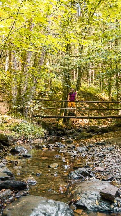 Ninglinspo Belgische Ardennen