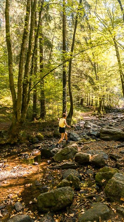 Ninglinspo Belgische Ardennen