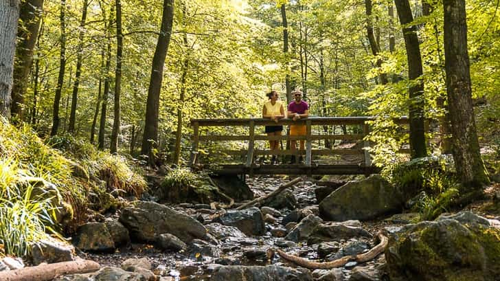 Ninglinspo Belgische Ardennen