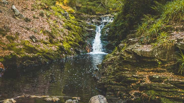 Hoëge wandeling Belgische Ardennen