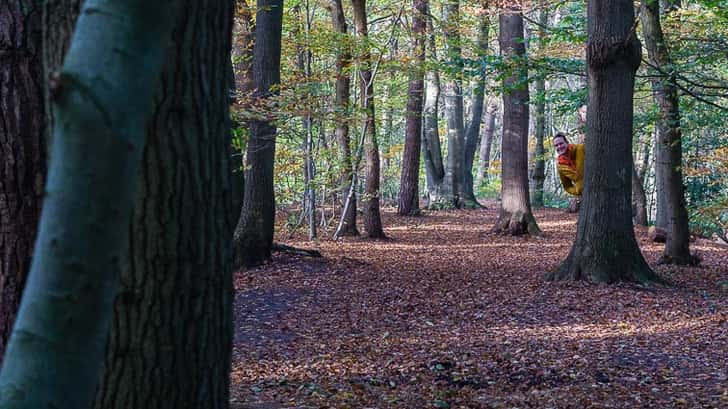 Appelbergen bos