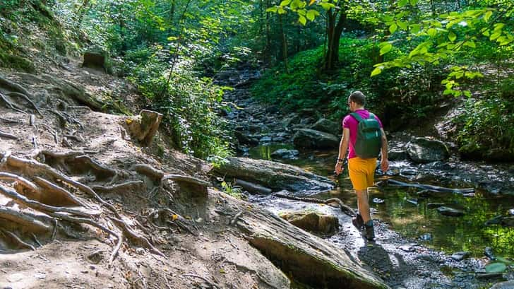 Wandelen in de Ardennen