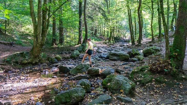 Wandelen in de Ardennen