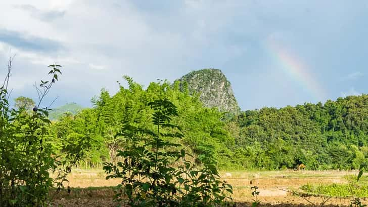 Regenseizoen in Laos