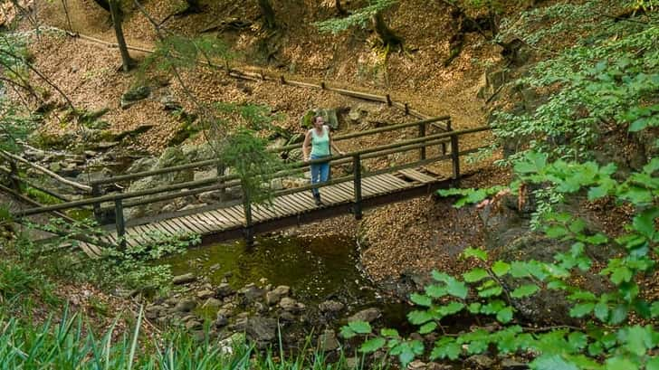 Hoëgne wandeling Ardennen