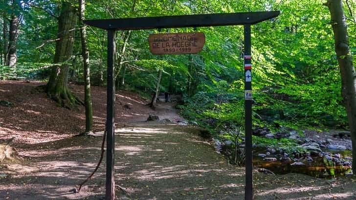 Hoëgne wandeling Belgische Ardennen