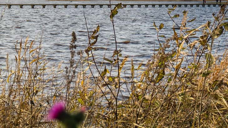 Wandelen in Groningen