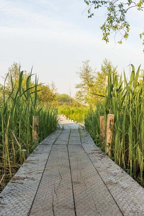 Plankenpad lettelberterpetten