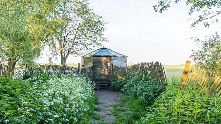 Vogelkijkhut Lettelberterpetten