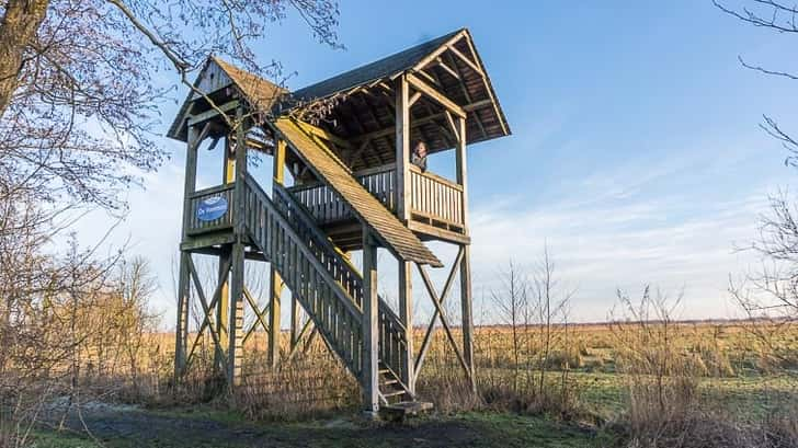 Uitkijktoren Lettelberterpetten