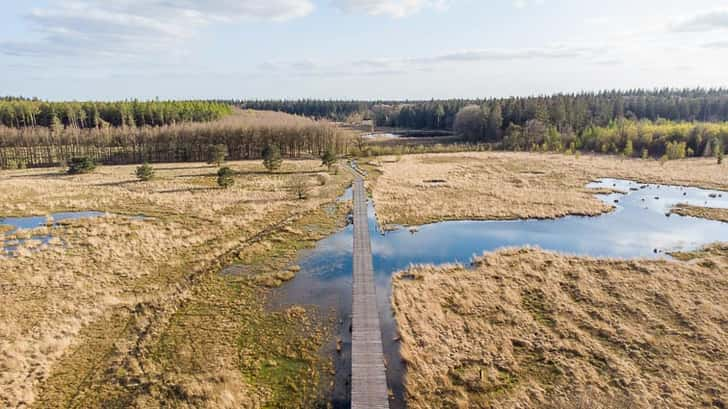 Vlonderpad Grolloërveen