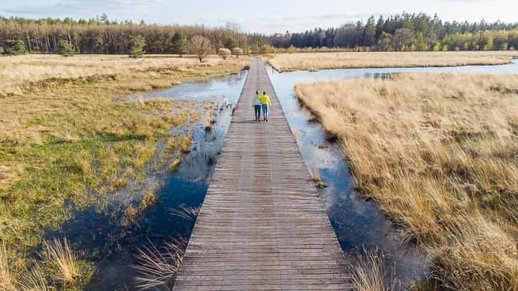 Vlonderpad Grolloërveen