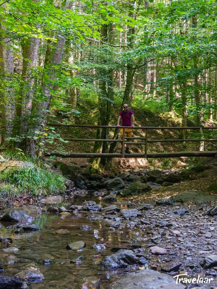 Start je roadtrip door de Belgische Ardennen met de Ninglinspo wandeling